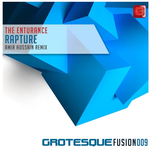 The Enturance - Rapture (Amir Hussain Remix)