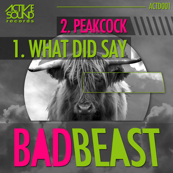 Bad Beast - What Did Say