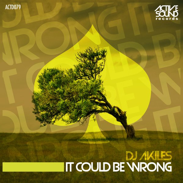 Dj Akiles - It Could Be Wrong