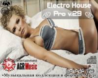 VA - Electro House Pro V.29 (2013)
